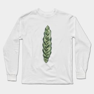 Simple Calathea Leaf Long Sleeve T-Shirt